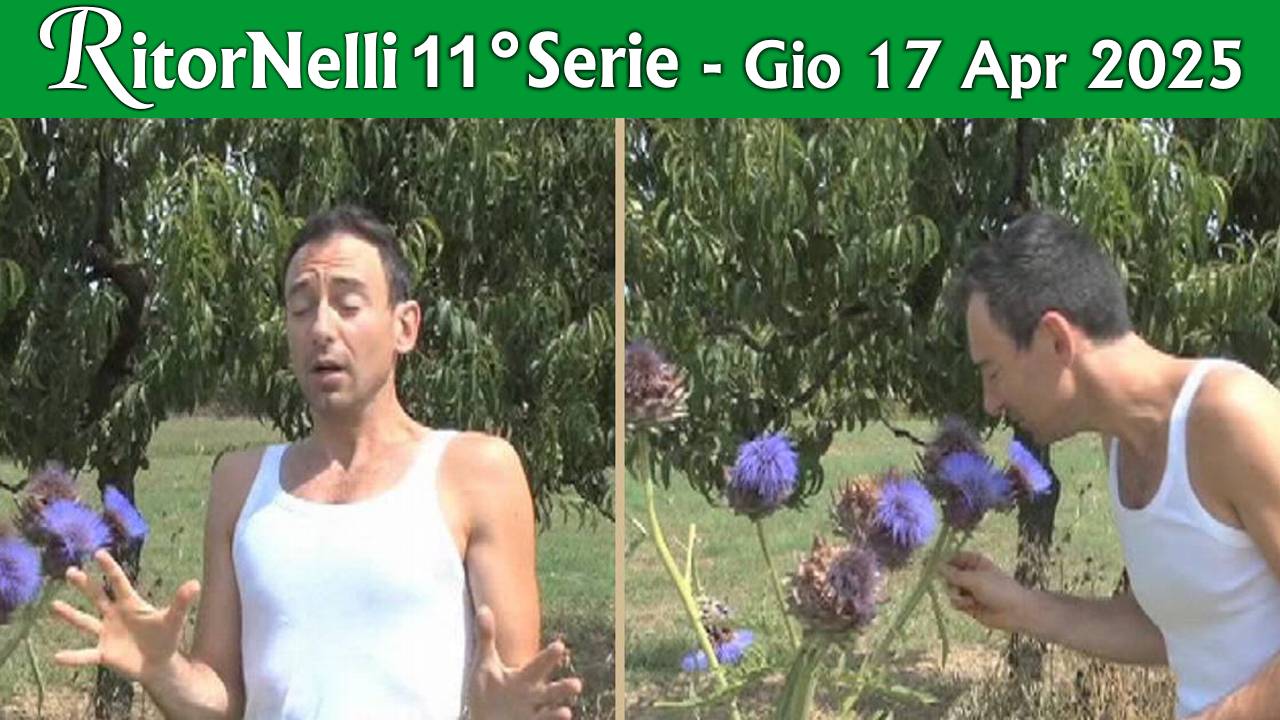 Trasmissione RitorNelli
